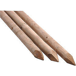 Apollo Round Softwood Stakes 2.4M X 50Mm 1