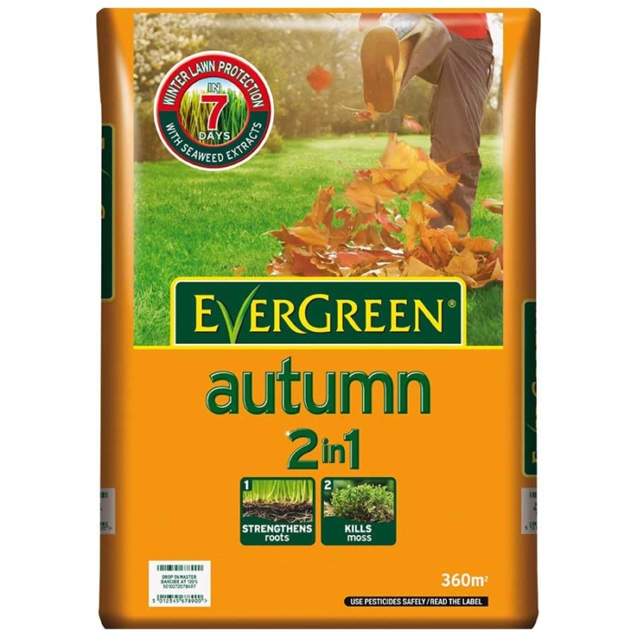 Evergreen Autumn 2 In 1 1
