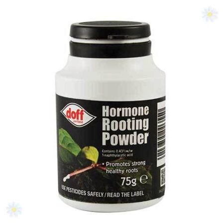 Hormone Rooting Powder 75G 1