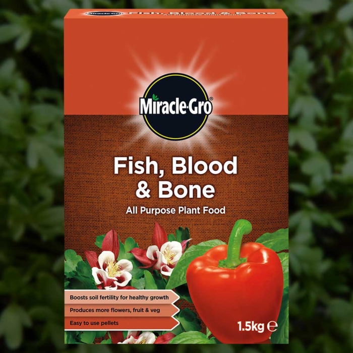 Miracle Gro Fish Blood And Bone 1.5Kg 1