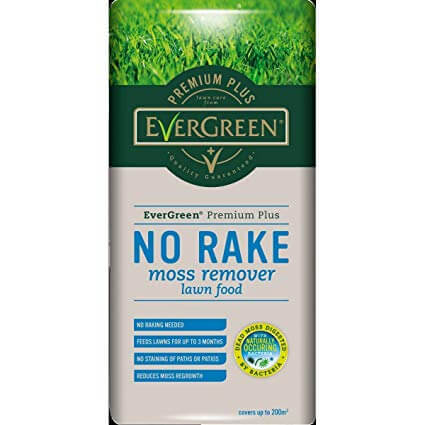 Evergreen No Rake Moss Remover 1