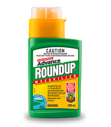 Roundup Concentrate Weedkill 1