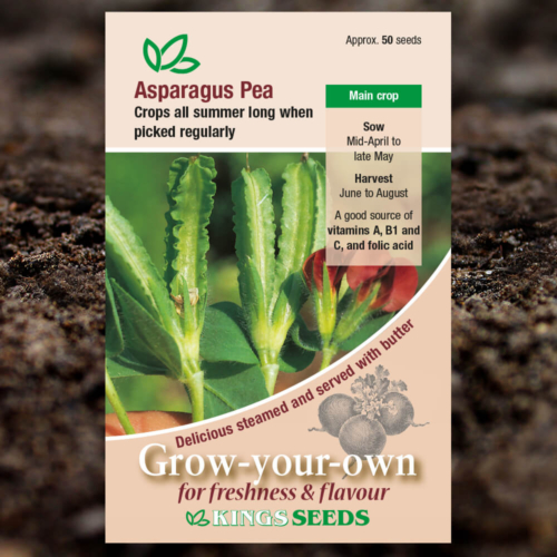 Vegetable Seeds - Asparagus Pea