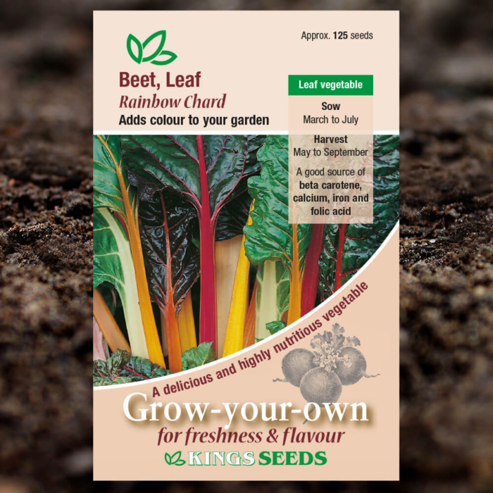Vegetable Seeds - Beet Leaf Rainbow Chard