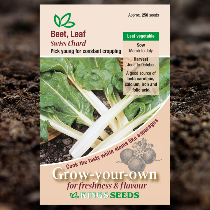 Vegetable Seeds - Beet Leaf Swiss Chard