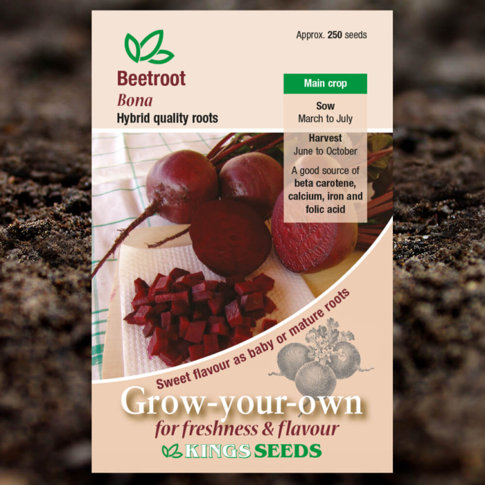 Vegetable Seeds - Beetroot Bona
