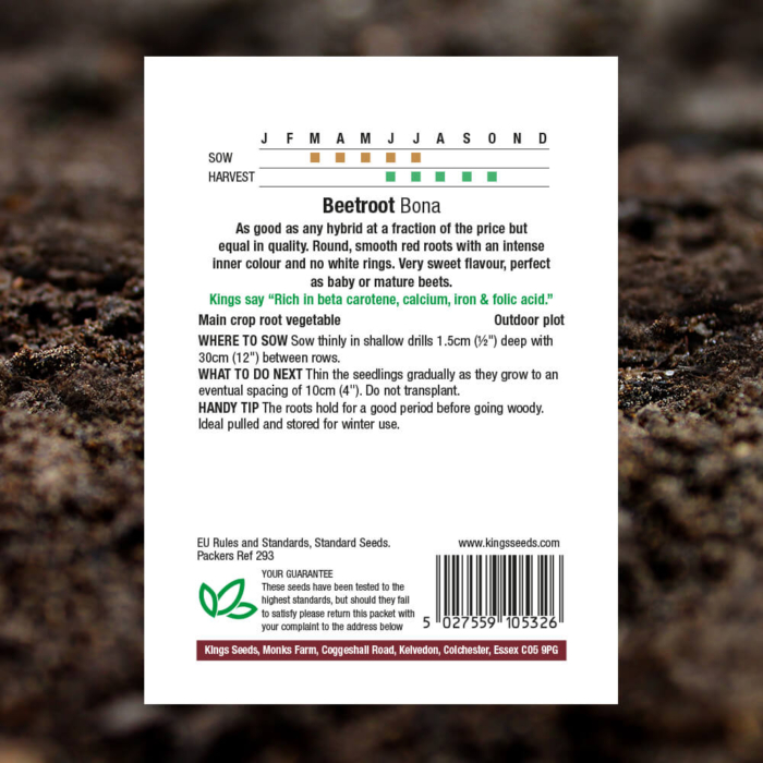 Vegetable Seeds - Beetroot Bona - Pack Reverse