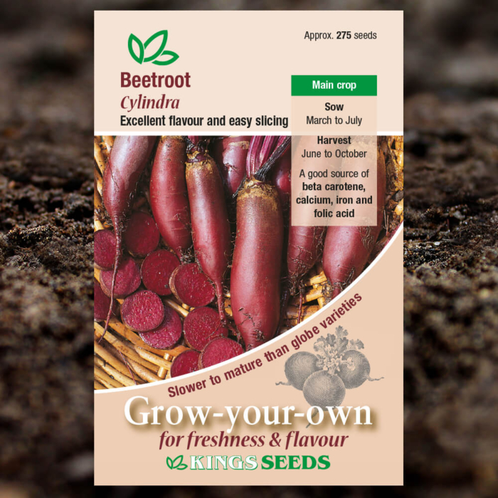 Vegetable Seeds - Beetroot Cylindra