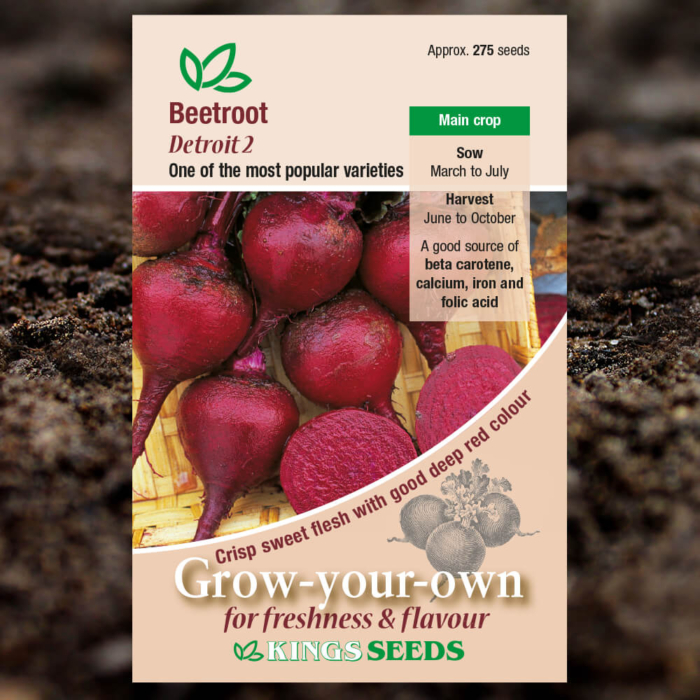 Vegetable Seeds - Beetroot Detroit 2