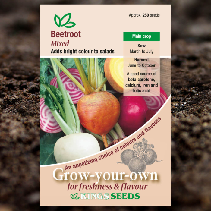 Vegetable Seeds - Beetroot Mixed