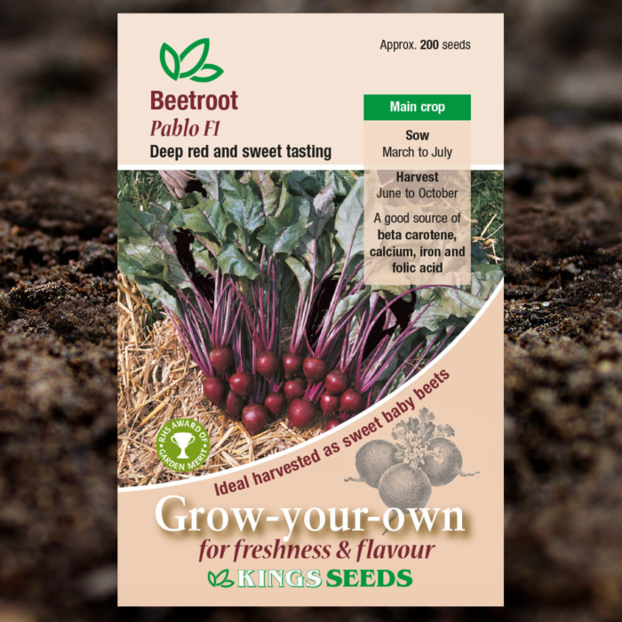 Vegetable Seeds - Beetroot Pablo F1