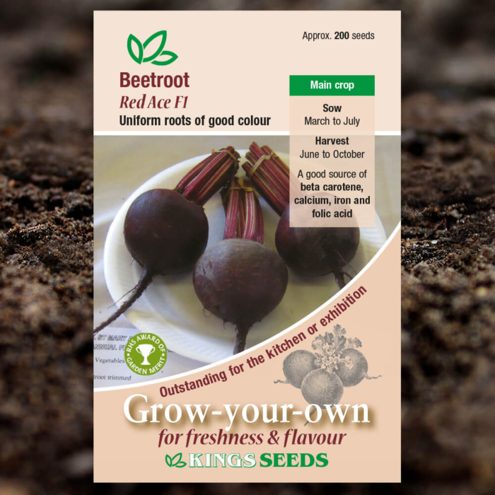 Vegetable Seeds - Beetroot Red Ace F1
