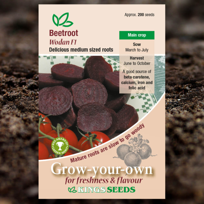 Vegetable Seeds - Beetroot Wodan F1