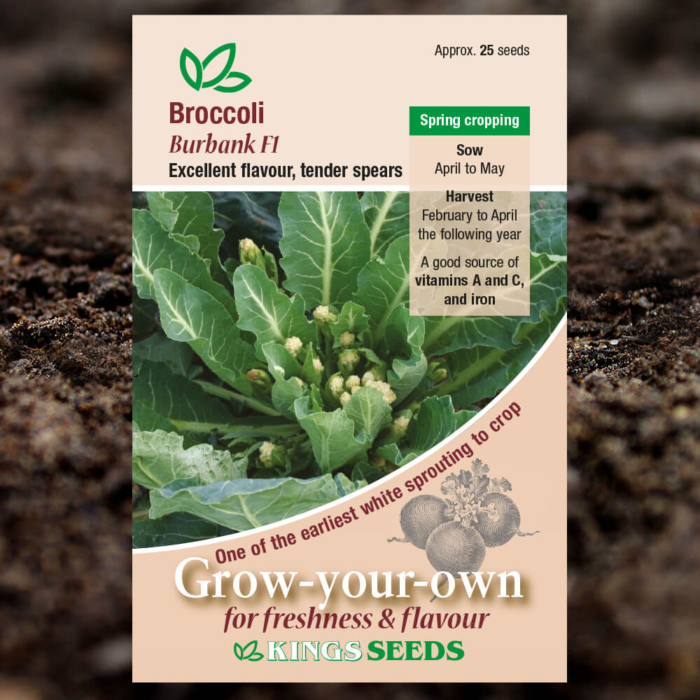 Vegetable Seeds - Broccoli Burbank F1