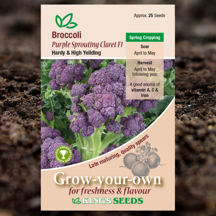 Vegetable Seeds - Broccoli Purple Sprouting Claret F1