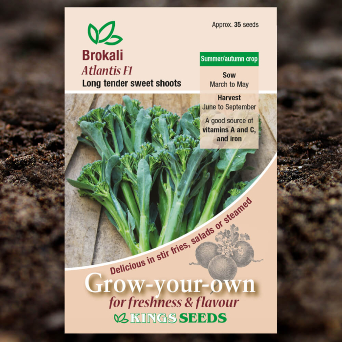 Vegetable Seeds - Brokali Atlantis F1
