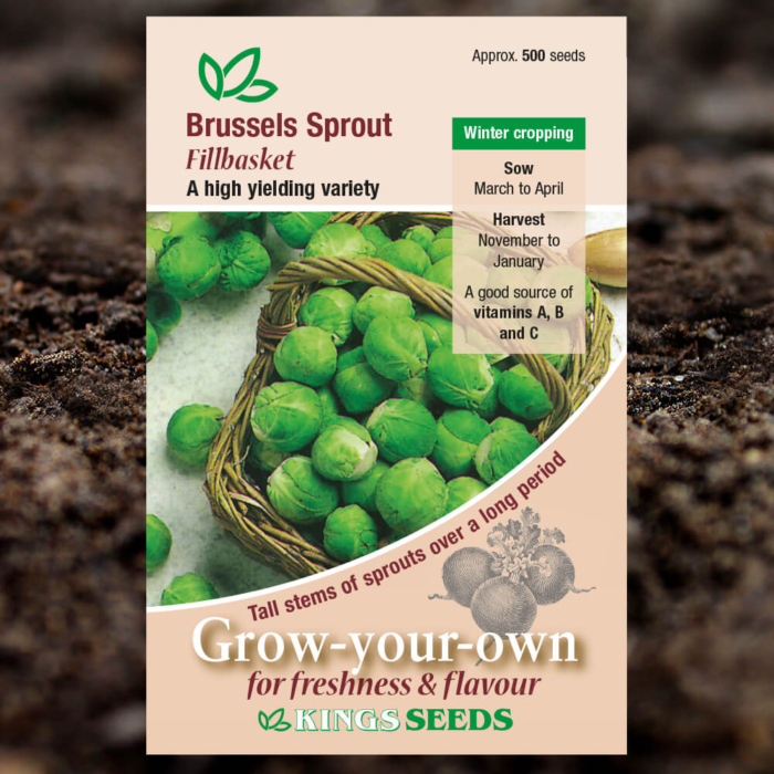 Vegetable Seeds - Brussels Sprout Fillbasket