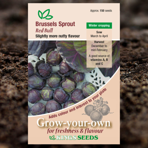Vegetable Seeds - Brussels Sprout Red Bull