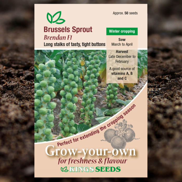 Vegetable Seeds - Brussels Sprouts Brendan F1