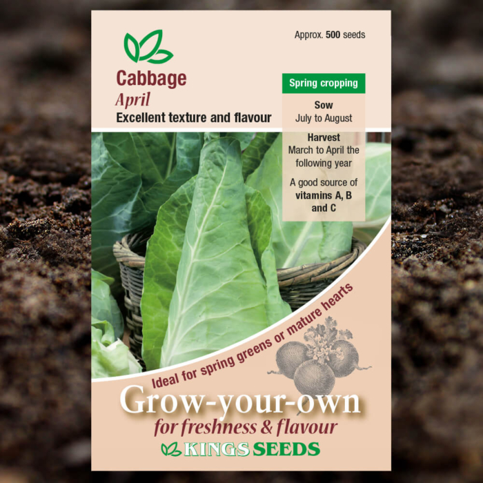 Vegetable Seeds - Cabbage April