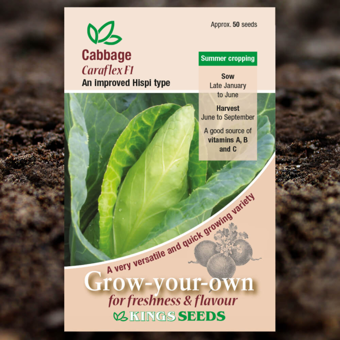 Vegetable Seeds - Cabbage Caraflex F1