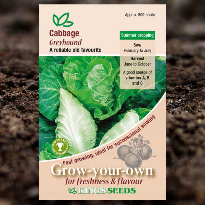 Vegetable Seeds - Cabbage Greyhound