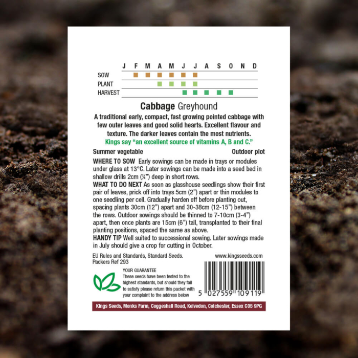 Vegetable Seeds - Cabbage Greyhound - Pack Reverse