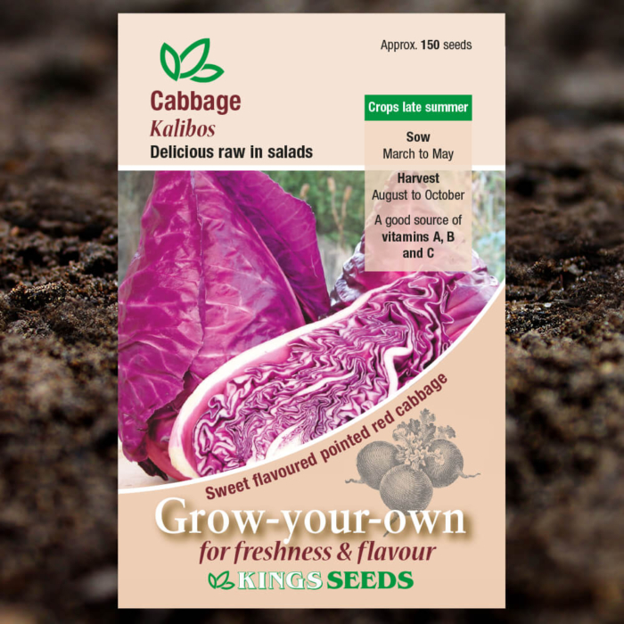 Vegetable Seeds - Cabbage Kalibos