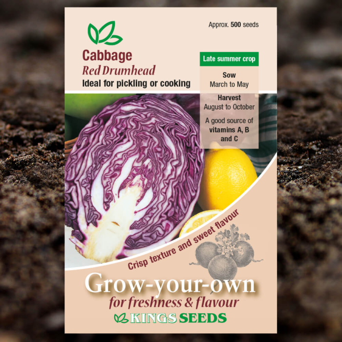 Vegetable Seeds - Cabbage Red Drumhead