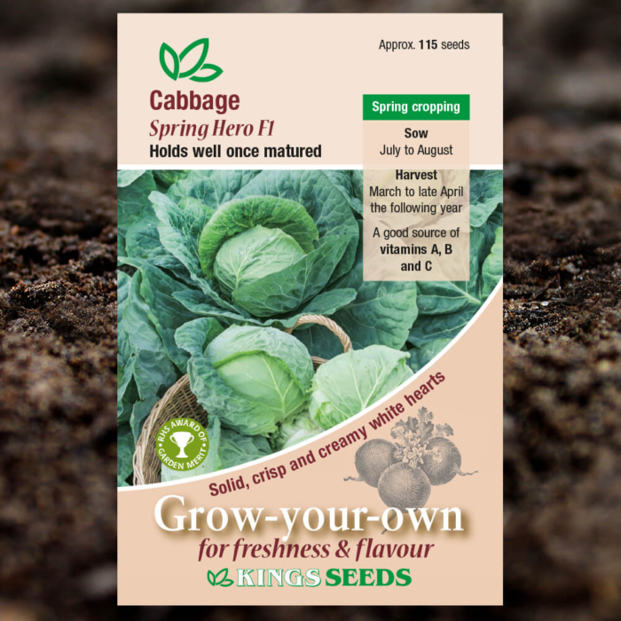 Vegetable Seeds - Cabbage Spring Hero F1