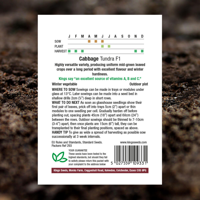 Vegetable Seeds - Cabbage Tundra F1 - Pack Reverse