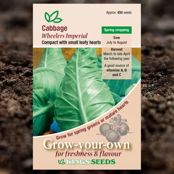 Vegetable Seeds - Cabbage Wheelers Imperial