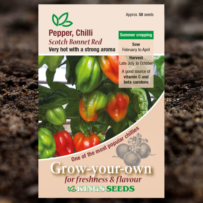 Fruit Seeds - Chilli Pepper Scotch Bonnet Red