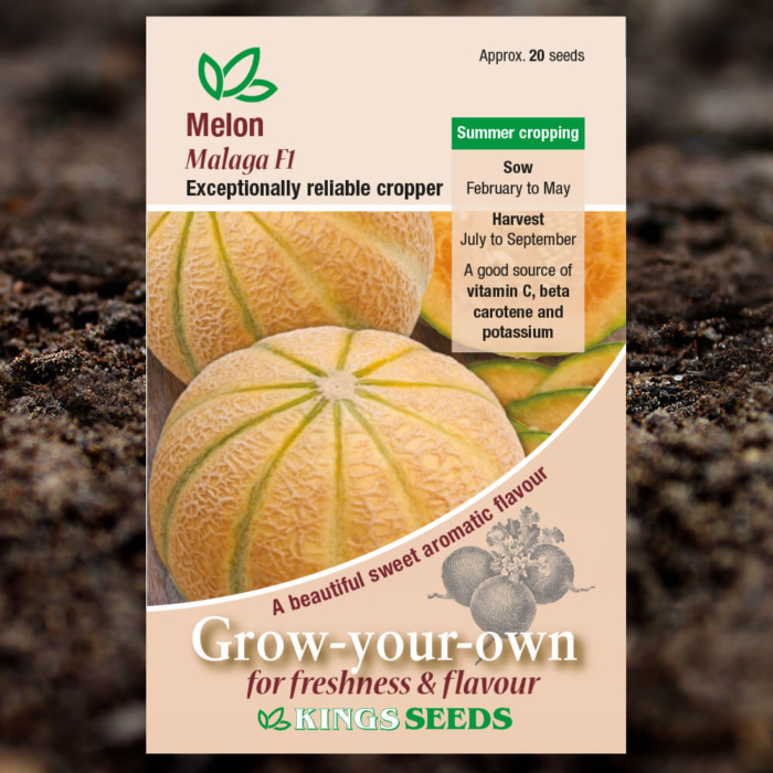 Fruit Seeds - Melon Malaga F1