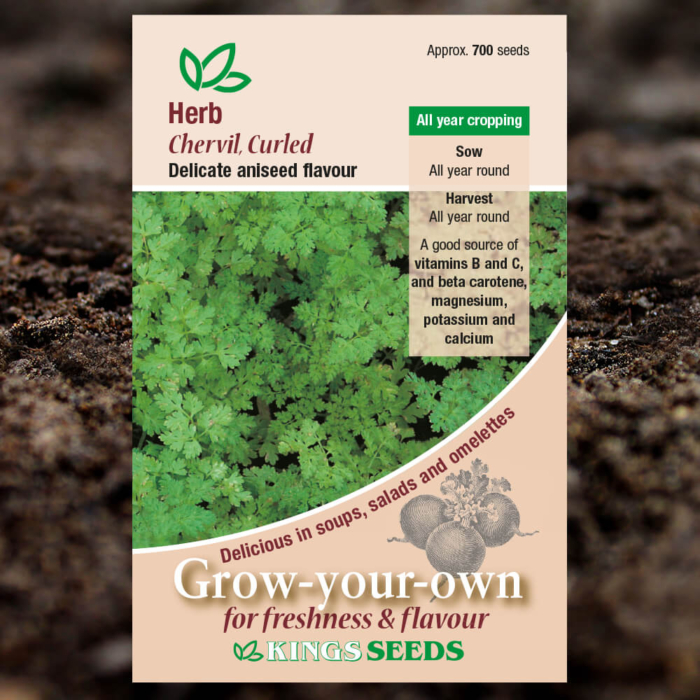 Herb Seeds - Chervil Curled