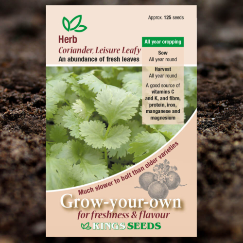 Herb Seeds - Coriander Leisure Leafy