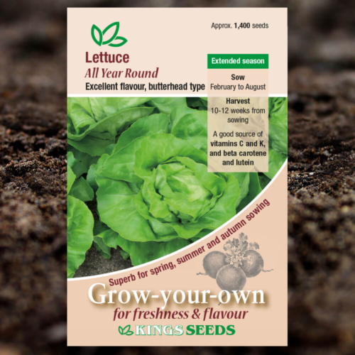 Salad Seeds - Lettuce All The Year Round