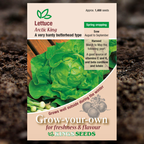 Salad Seeds - Lettuce Arctic King
