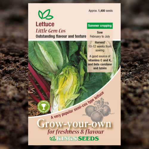 Salad Seeds - Lettuce Little Gem Cos