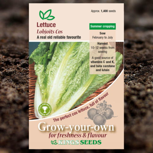 Salad Seeds - Lettuce Lobjoits Cos
