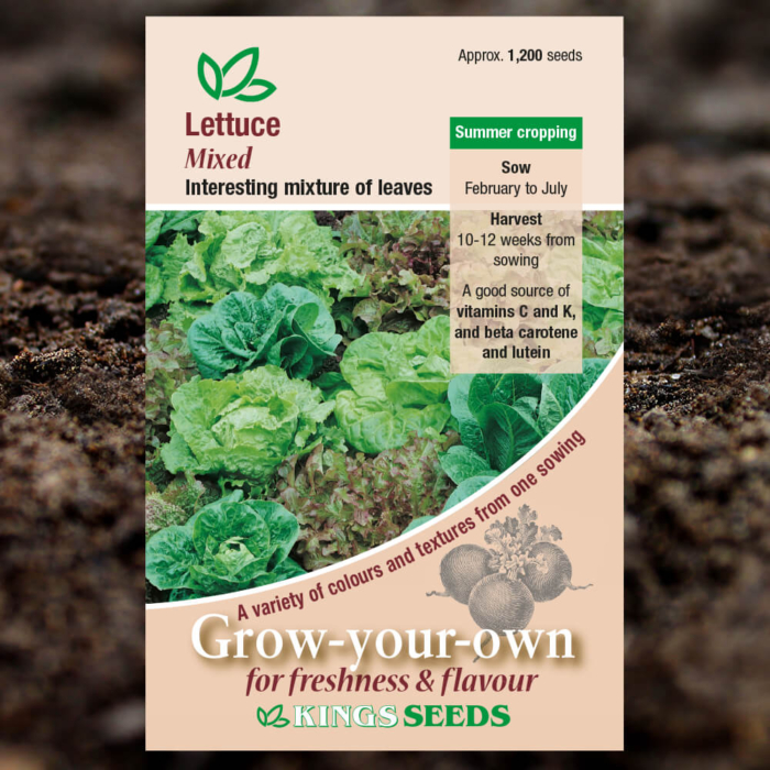 Salad Seeds - Lettuce Mixed