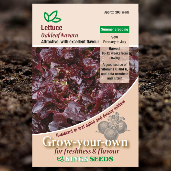 Salad Seeds - Lettuce Oakleaf Navara