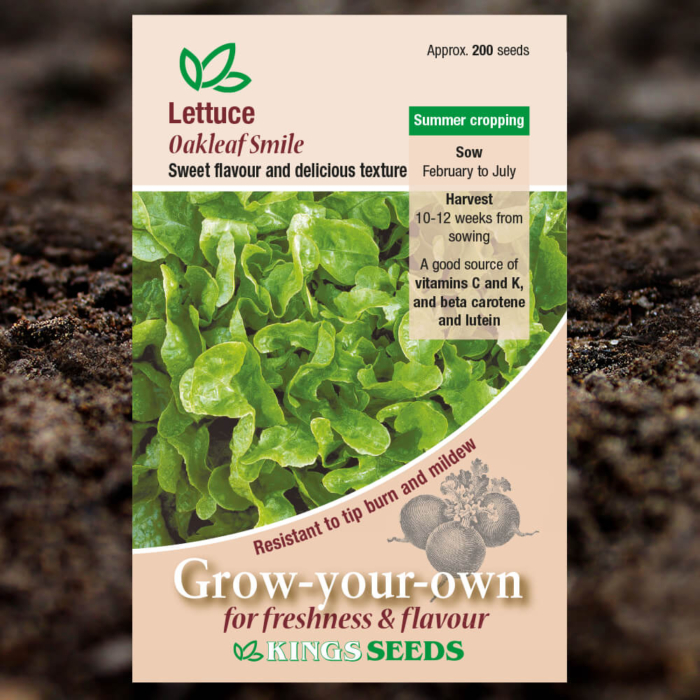 Salad Seeds - Lettuce Oakleaf Smile