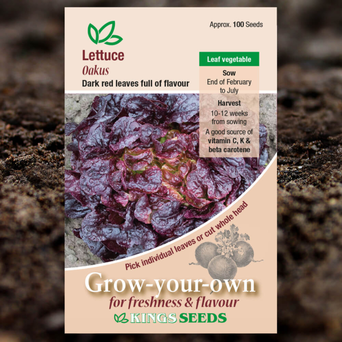 Salad Seeds - Lettuce Oakus