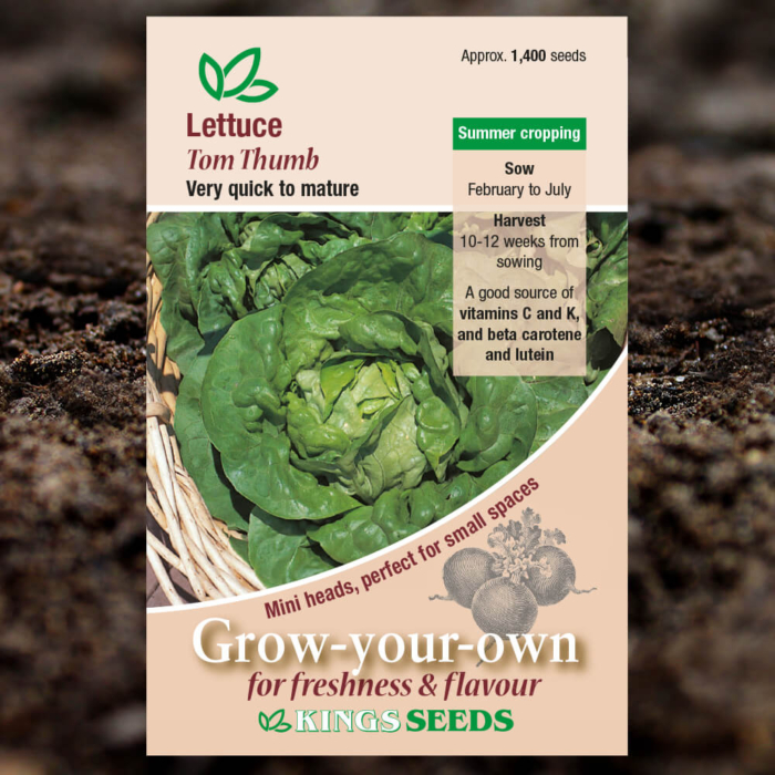 Salad Seeds - Lettuce Tom Thumb