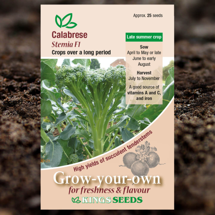 Vegetable Seeds - Broccoli - Calabrese Stemia F1
