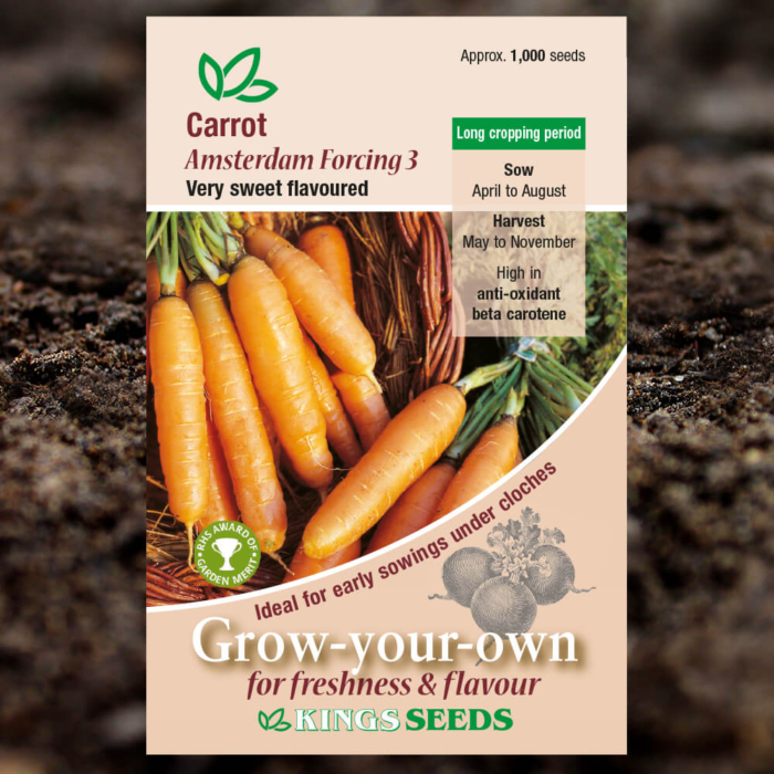 Vegetable Seeds - Carrot Amsterdam Forcing 3