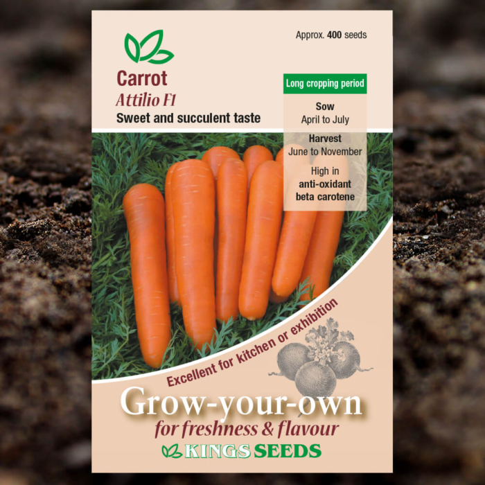 Vegetable Seeds - Carrot Attilio F1