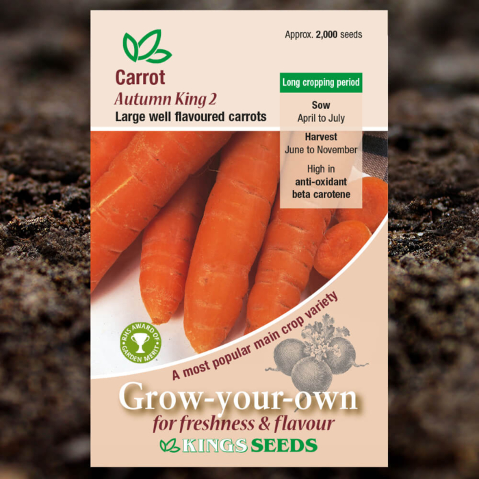 Vegetable Seeds - Carrot Autumn King 2