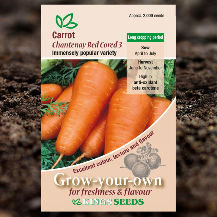 Vegetable Seeds - Carrot Chantenay Red Cored 3
